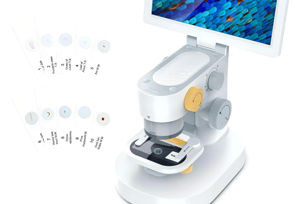 microscope portable digital