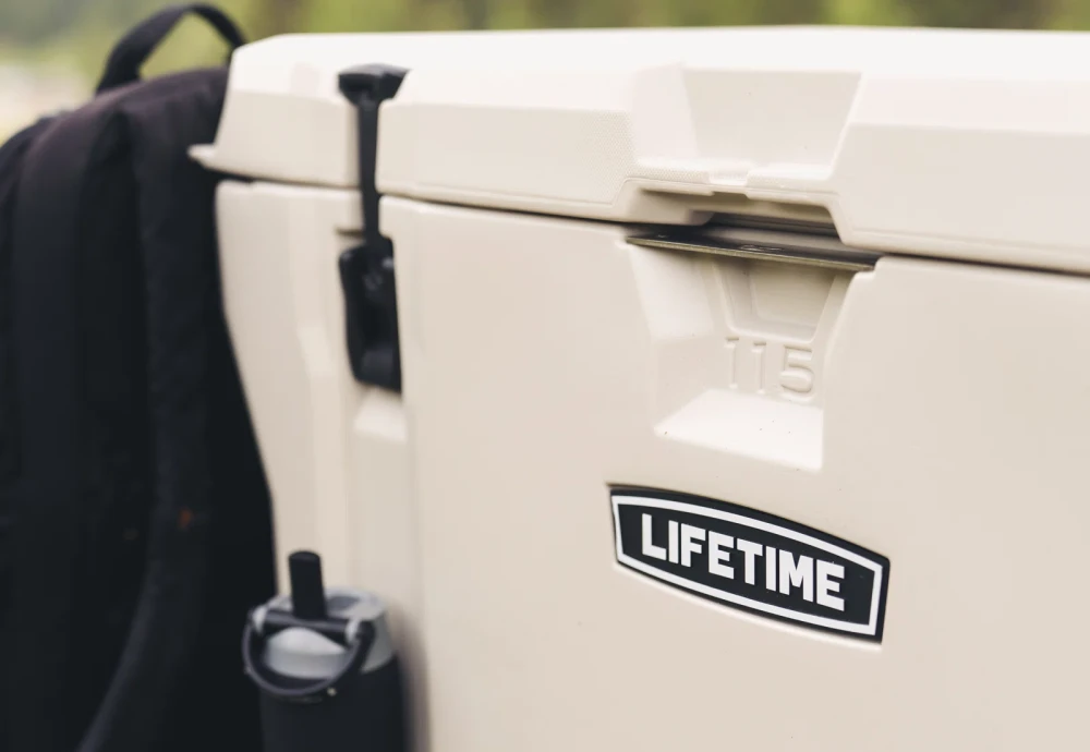portable ice cream cooler box
