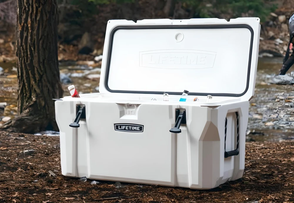portable ice cream cooler box