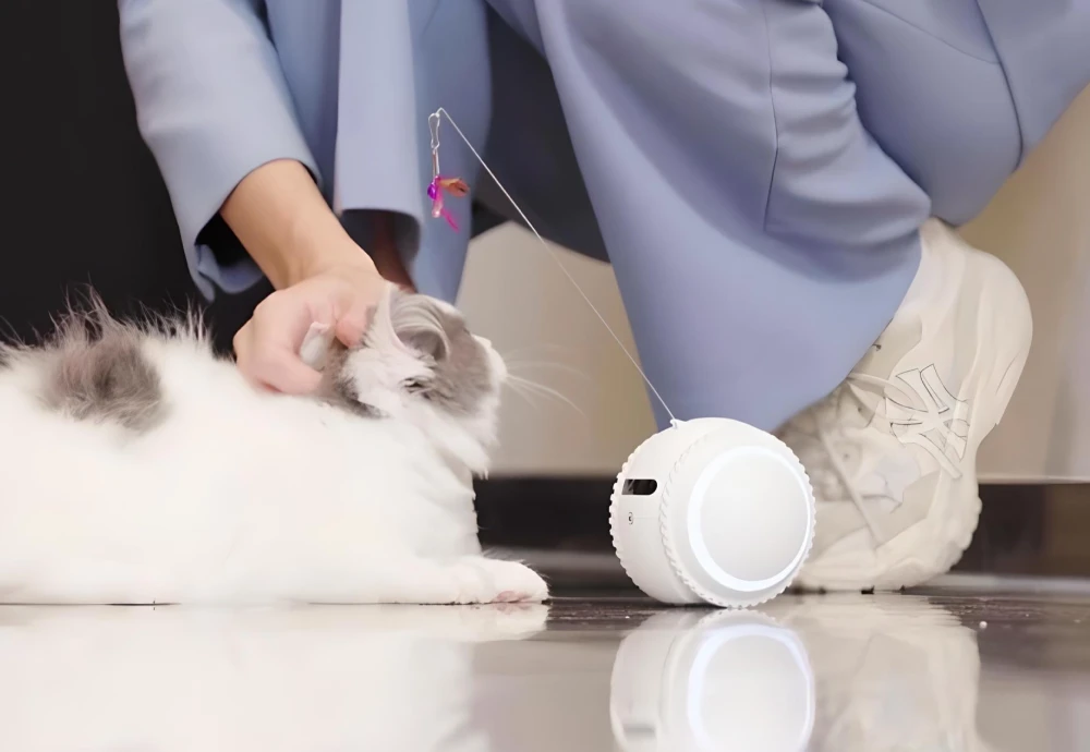 pet cameras for home