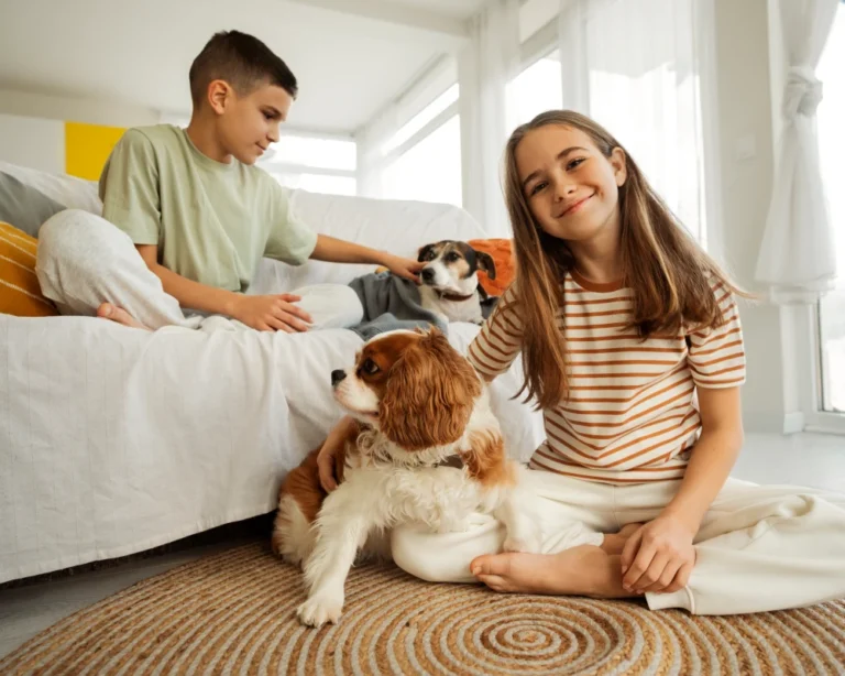 automatic pet feeder and waterer