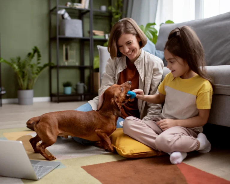 automatic food feeder for dogs